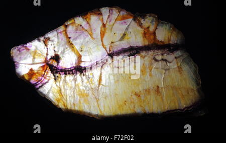 Slices of Blue John stone; a mineral unique to Treak Cliff in Derbyshire seen back-lit against a black background, Peak District Stock Photo