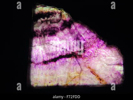 Slices of Blue John stone; a mineral unique to Treak Cliff in Derbyshire seen back-lit against a black background, Peak District Stock Photo