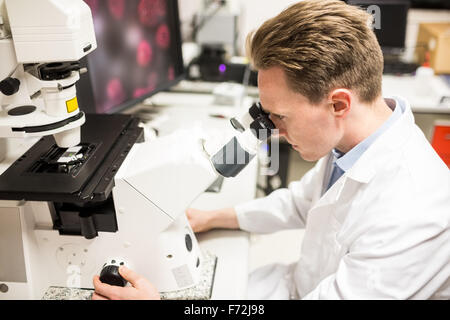 Scientist looking through a microscope Stock Photo