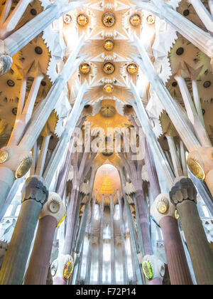 Ceilings of the Sagrada Familia Cathedral in Barcelona Stock Photo - Alamy