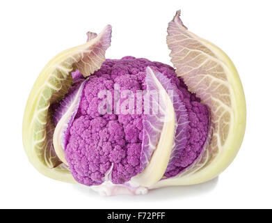 Purple cauliflower isolated on white Stock Photo