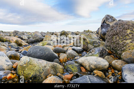 Stones on a beach. Stock Photo