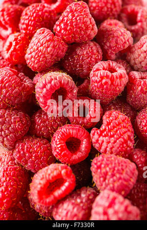 A beautiful selection of freshly picked ripe red raspberries. Stock Photo