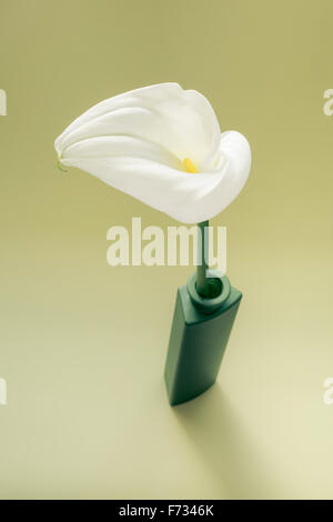 White Calla Lily in green Vase Stock Photo
