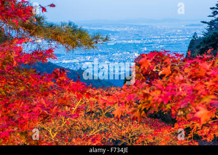 Autumn colors,Oyama-dera temple,Mt Oyama,Isehara city,Kanagawa prefecture,Japan Stock Photo