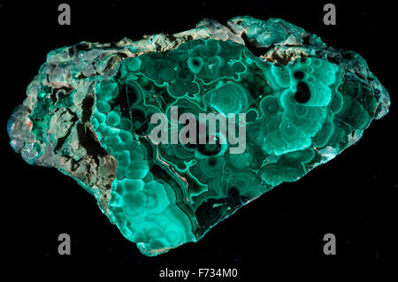 A section through Malachite, a copper carbonate hydroxide mineral Stock Photo