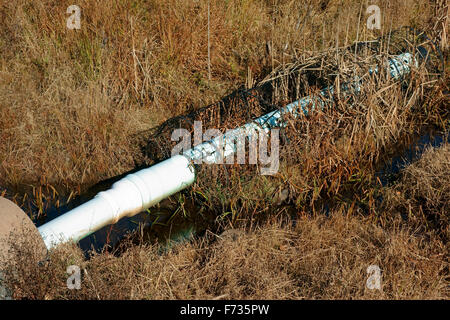 A device designed to prevent beavers or a beaver from blocking off a ...