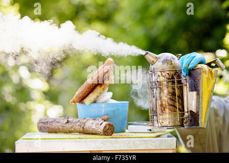 A beekeeper holding a metal smoker, puffing smoke across the top of a hive. Stock Photo