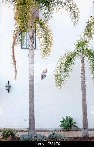 Man walking up a staircase in the distance, palm trees. Stock Photo