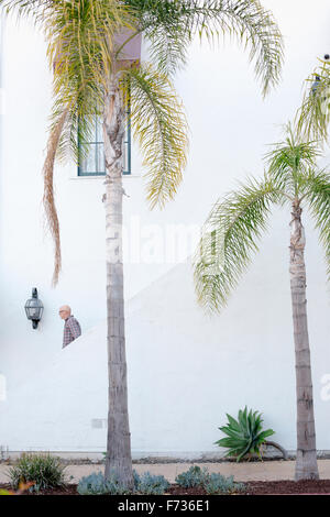 Man walking down a staircase in the distance, palm trees. Stock Photo