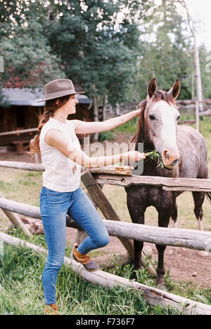 Woman feeding a horse in a paddock on a ranch. Stock Photo