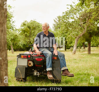 A farmer sitting on the back of a quad bike in a field surveying his land and his animals. Stock Photo