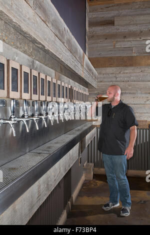 A young man tests beer in a beer brewery in San Diego, California, a series of beer tap fits on the wall in front of him. Stock Photo