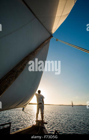 LAMU, KENYA, AFRICA. A young man stands on the bow of a dhow sailboat under a giant sail in calm waters near shore. Stock Photo