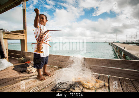 ANEGADA ISLAND, BRITISH VIRGIN ISLANDS, CARIBBEAN. A young boy holds up a large lobster on a dock in tropical setting.