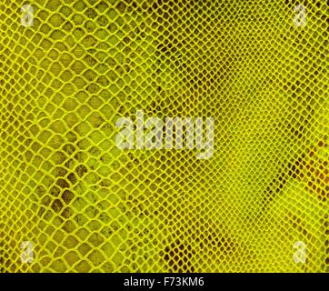 Background of green tissue in the mesh Stock Photo