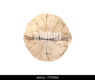 Close up picture of a walnut isolated on white. Stock Photo