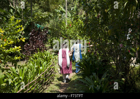 Woman walking in garden, Club Mahindra, Madikeri Resort, Mahindra Resort, Coorg, Madikeri, Karnataka, India, Asia Stock Photo