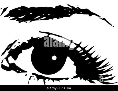 Human Female Eye with eyebrow as Vector. Icon design over white background, vector illustration Stock Photo