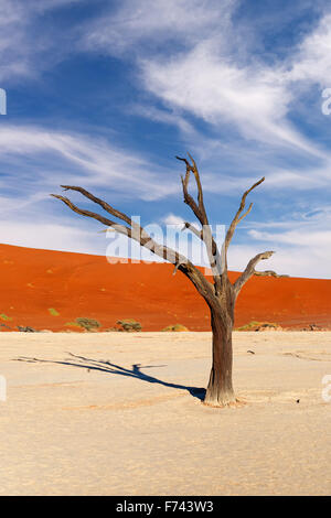 Red sand dune and scorched dead tree shortly after sunrise in Deadvlei, Sossusvlei, Namibia Stock Photo