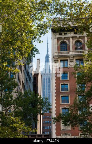 Summer in Midtown Manhattan, New York City with views on skyscrapers framed by london trees. Stock Photo