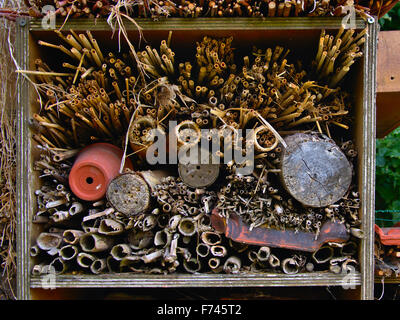 Detail of Insect hotel with recycled wood, terracota flower pots and roof tiles, found at bourgoyen, Ghent, Belgium Stock Photo