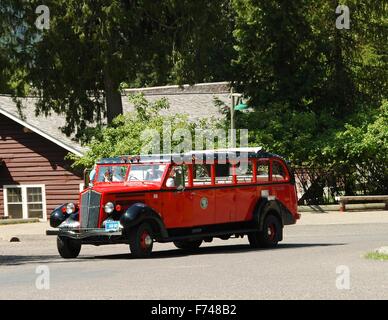 The red Jammer buses are an iconic image of Glacier National Park. Stock Photo