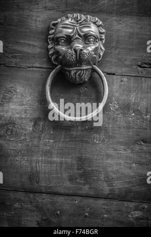 An old knocker in the shape of lion on an old door. Stock Photo