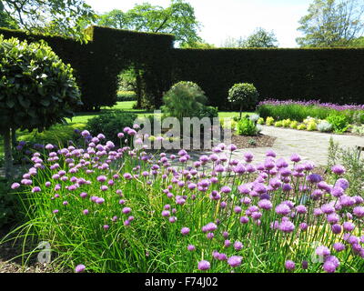 The Walled Garden and Yew Circle at Glenarm Castle, Northern Ireland. Stock Photo