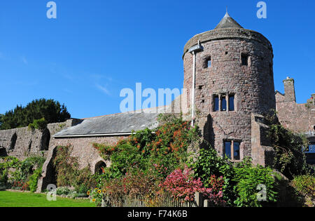Tiverton Castle Stock Photo