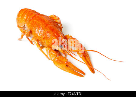 Boiled Crayfish, Isolated on White Background Stock Photo