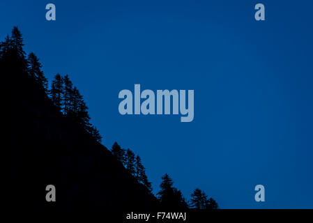 Steep mountain slope with pine trees silhouetted against blue night sky Stock Photo