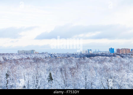city and frozen park in winter season Stock Photo