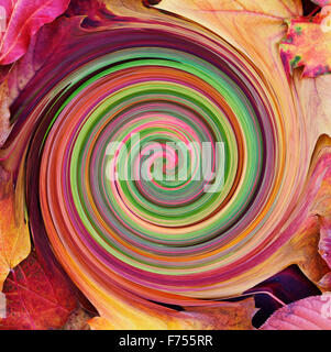 Abstract Acer leaves circular swirl - Autumn colours Stock Photo