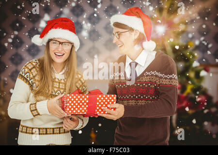 Composite image of geeky hipster couple holding present Stock Photo