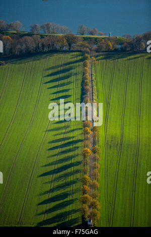 small alley on Kemnader lake with autumnal trees, Blumenau, Bochum, Ruhr area, North Rhine Westphalia Germany Europe aerial view Stock Photo