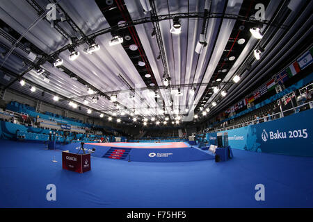 A general view of the inside of the Crystal Hall. Baku2015. 1st European Games. Baku. Azerbaijan. 17/06/2015. Stock Photo