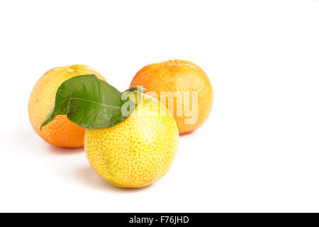 fresh organic clementines picked with green leaves, isolated on white Stock Photo