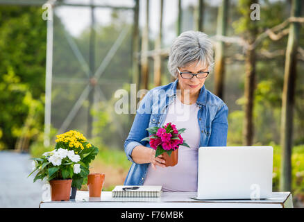 Beautiful mature woman working in a greenhouse holding flowers and taking notes in the laptop Stock Photo