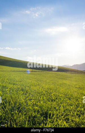 Styria, Austria, Thal Stock Photo - Alamy