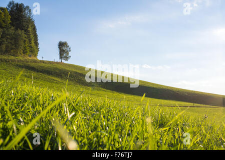 Styria, Austria, Thal Stock Photo