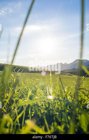 Styria, Austria, Thal Stock Photo