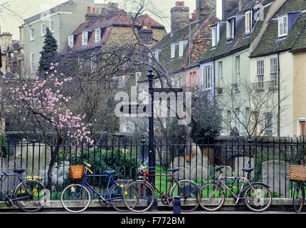 Locked student bicycles. Cambridge. Cambridgeshire. England. UK. Europe Stock Photo