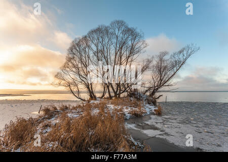 Pereslavl-Zalessky, Russia - November 26, 2015: November evening overlooking Pleshcheevo lake. Trees on the cape. Stock Photo