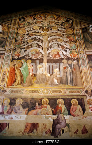 Taddeo Gaddi, Last Supper and Tree of Life,and Four Miracles,1340 Santa Croce Florence Italy Stock Photo