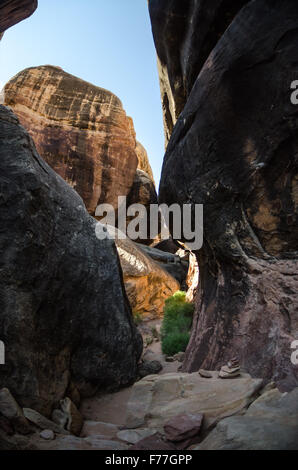 Hiking through rock formations in the Needles district of Canyonlands Stock Photo