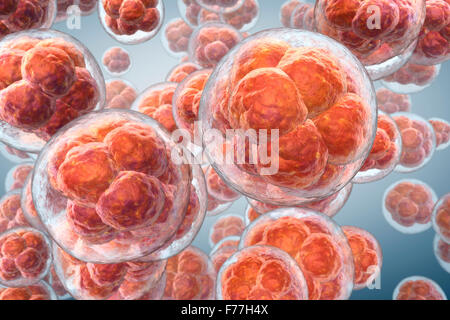 Abstract cells in division phase Stock Photo