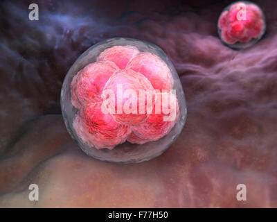 Abstract cells in division phase Stock Photo