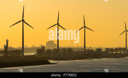 North Sea, Windmills, wind farm in Rotterdam harbour at sunrise. Stock Photo