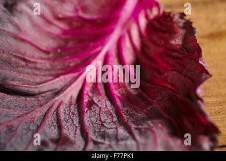 a leaf of raw red cabbage Stock Photo